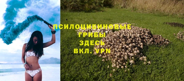 ECSTASY Алексин