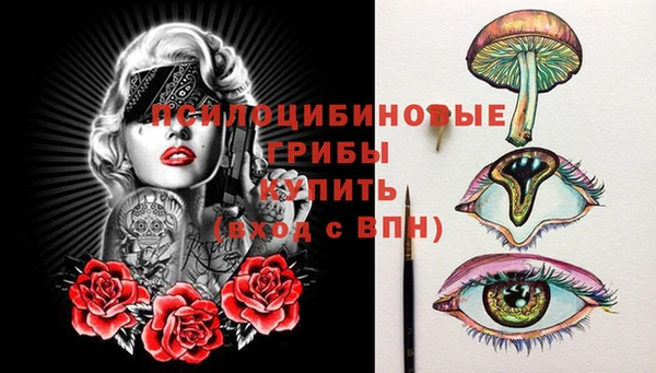 ECSTASY Алексин