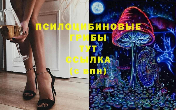 apvp Алексеевка