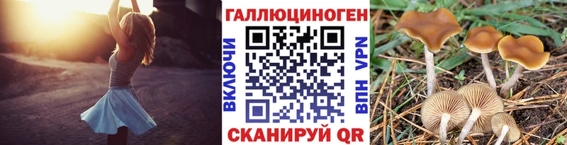 Псилоцибиновые грибы прущие грибы где найти Нестеров