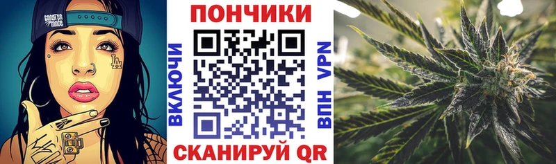 где купить   Нестеров  Каннабис ГИДРОПОН 